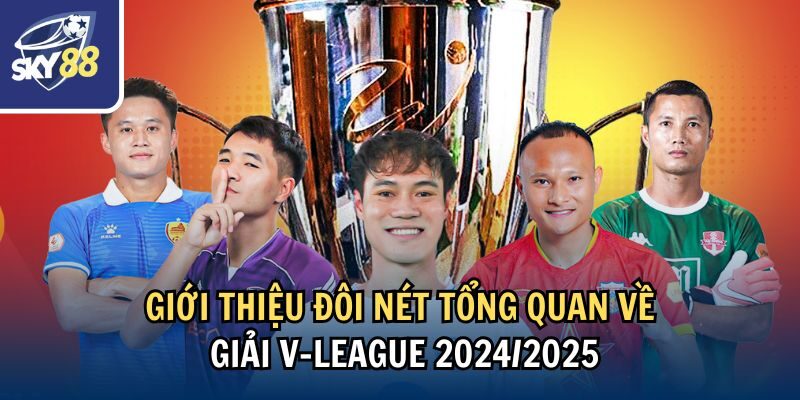 Giới thiệu đôi nét tổng quan về giải V-League 2024/2025