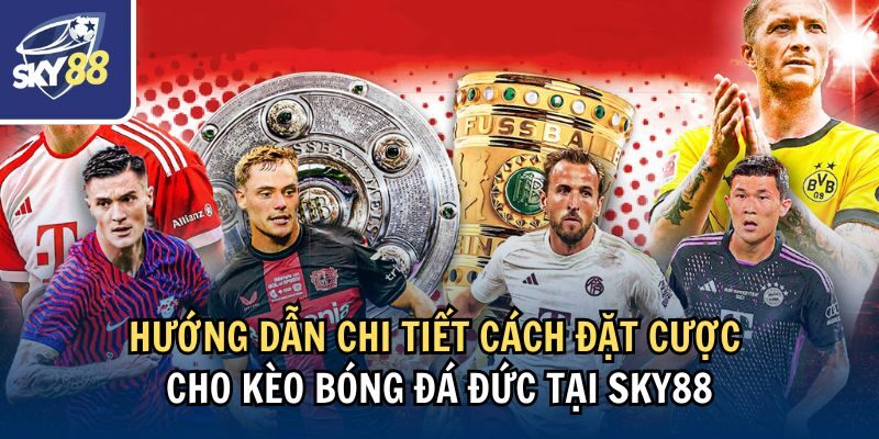 Hướng dẫn chi tiết cách đặt cược cho kèo bóng đá Đức tại Sky88